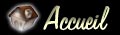 Accueil